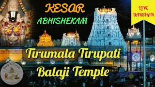 LIVE : Divine Keshar Abhishekam at Tirupati Balaji Temple Tirumala | Lord Venkateswara Sacred Ritual