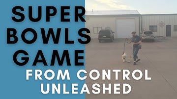 How to Play the Super Bowls Pattern Game with Your Dog