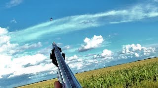 🦆 Kamera Laras Senjata Terbaik dengan Harga Terjangkau untuk Berburu! Apakah kamera aksi olahraga... screenshot 4