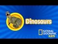Dinosaur Facts and Human Comparison