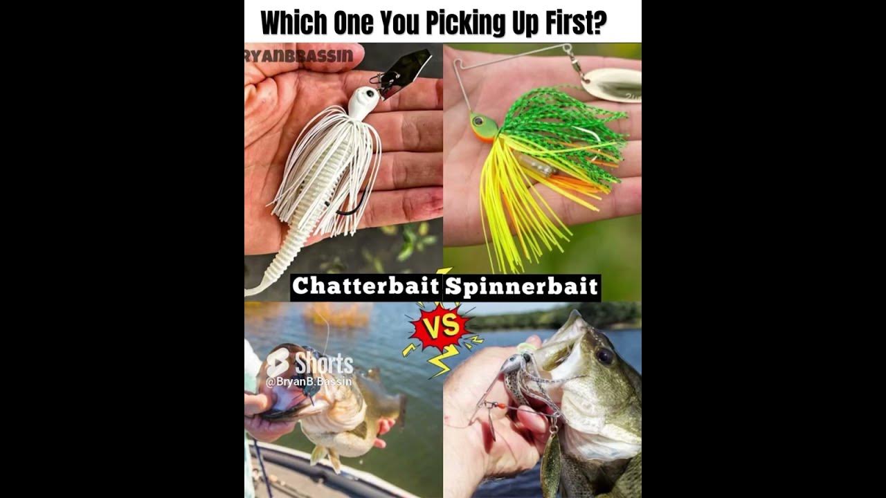 chatterbait-vs-spinnerbait-which-one-you-taking-chatterbait