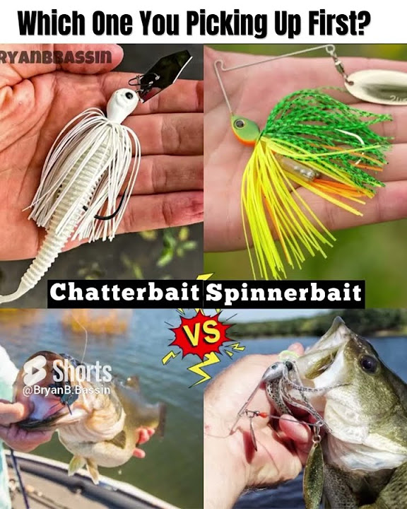 Chatterbait Vs Spinnerbait 💬 Which one You Taking chatterbait 