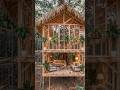 🌳 Amazing Treehouse Construction Around a Giant Tree | Jungle Survival House Build Time Lapse