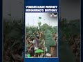 Crowds in Sanaa Mark Prophet Mohammad's Birthday as Houthi Leader Addresses Rally