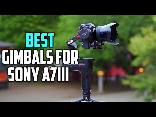 anker erektion Visum Top 5 Best Gimbals for Sony a7iii & Canon, Nikon, Fujifilm Review 2022 |  Vertical Shooting Gimbals - YouTube
