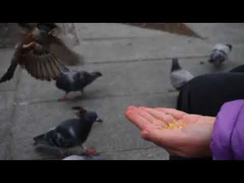 ي خلق الإنسان م عطاء حتى يعلمه البشر الحذر