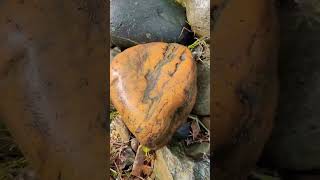 Buscando piedras arriba en la montaña, parece que va nevar.