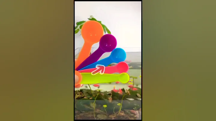 Don't make this mistake when feeding your fish!! #shots #shorts #feeding #fish #aquarium