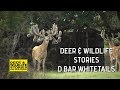 West Texas Bucks | Deer & Wildlife Stories