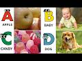 ABC Song Every School Kid Loves | Fun A to Z Learning