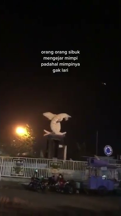 STORY WA 30 DETIK TERBARU || ANEH EMANG:)
