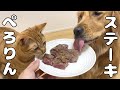 ステーキをめぐる仁義なき戦い