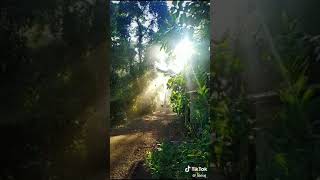 Morning visuvals