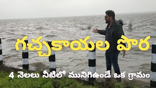 ll Gachakayala Pora ll A village submerged in water for 4 months #eastgodavari #village#lake #beach