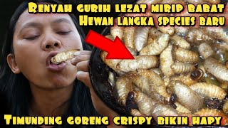 ULAT TIMUNDING GORENG SEPECIES LANGKA ENAK GURIH BERGIZI