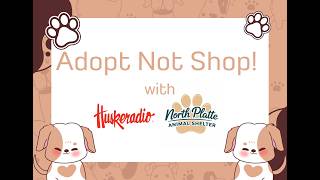 Adopt Not Shop - Introduction to Adopting Pets at the North Platte Animal Shelter!