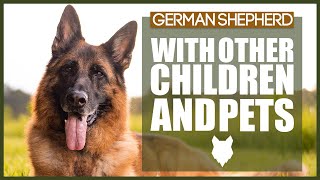 GERMAN SHEPHERD WITH CHILDREN AND PETS