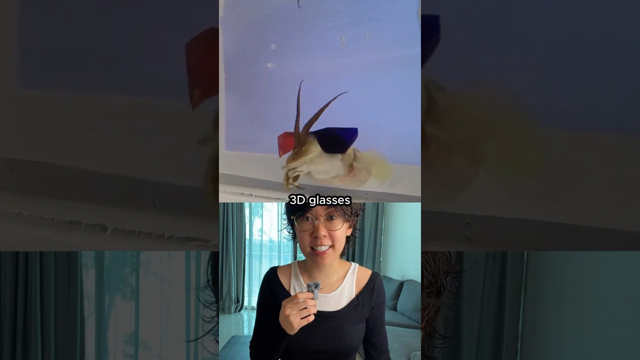 Why Scientists Put 3D Glasses On Cuttlefish