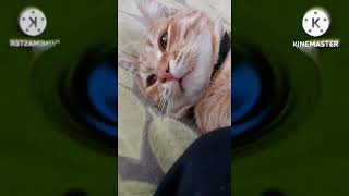 I hate the Weird code 1-20 powers more 1st 