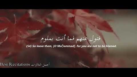 (فتول عنهم فما أنت بملوم)القارئ إسلام صبحي