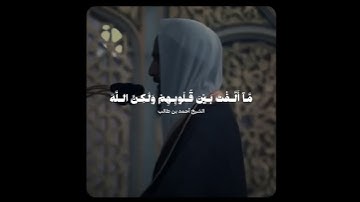 من أجمل التلاوات للشيخ أحمد بن طالب.🤍 #22