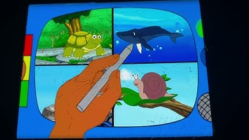 The Field Journal Season 11