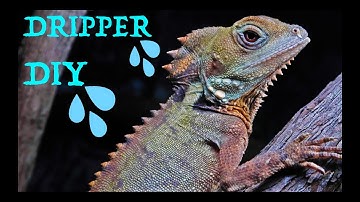 DIY Reptile DRIPPER!