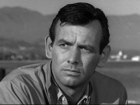 Image result for david Janssen images