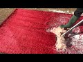 Satisfying scraping compilation of dirty Red rugs || Oddly Satisfying