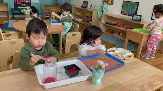 A day in Shamrock Montessori Toddler Classroom 2021-2022