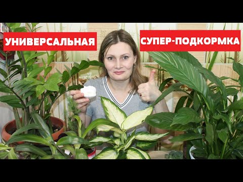 БЕСПЛАТНАЯ ПОДКОРМКА для БЕШЕНОГО РОСТА комнатных растений