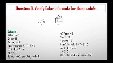 NCERT Solutions for Class 8 Maths Chapter 10 Visualising Solid Shapes Ex 10.3