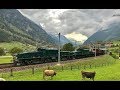 Die Gotthard strecke mit 100 Jahre Krokodil