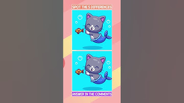 🔍 SPOT THE DIFFERENCE 🔍 | How many can you spot?