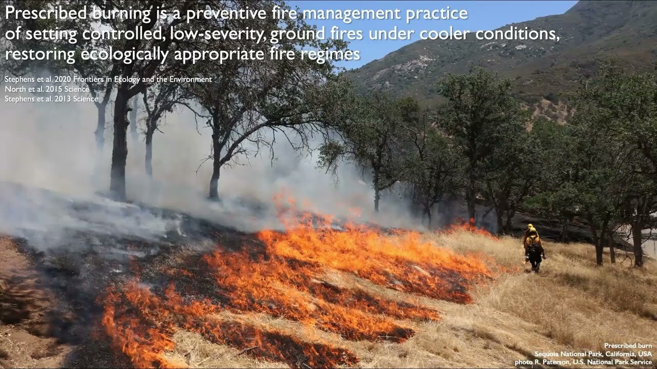 Proactive fire management under climate change in U.S. national parks in California