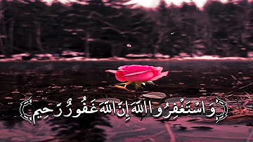 أرح سمعك.. تلاوة هادئة تريح القلب🤎😴 - ساعتين متواصلة🕛🎧 القارئ عبدالرحمن مسعد - Abdulrhman Mosad
