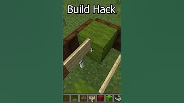 Minecraft Build Hack...#shorts #youtubeshorts #shortvideo #short