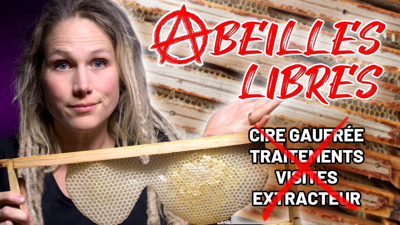 Être autonome en MIEL avec un minimum de matériel, c'est possible? 🍯 Je laisse mes abeilles gérer! 🐝