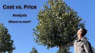 Cost vs  Price Analysis For Nurseries and Landscapers