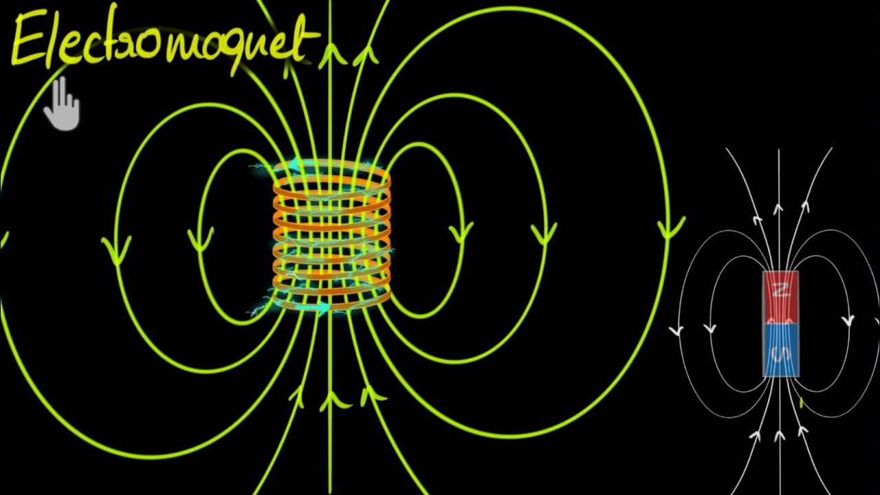 Магнитное поле в доме. Магнитное поле тороида. magnetic field lines. осциллирующее магнитное поле. музыкальный инструмент магнитное поле.