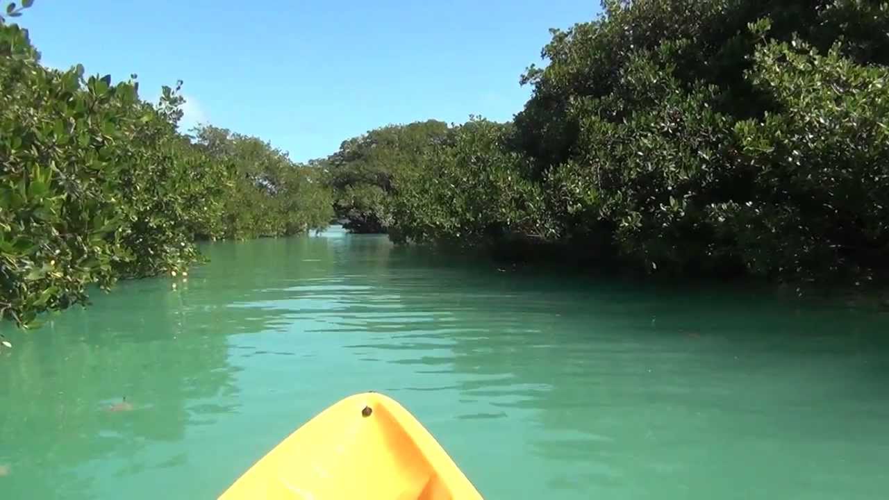 Kayaking Islamorada bird island. YouTube