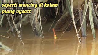 MANCING GURAME !! jangan sepelekan lorong pohon rasau seperti ini wajib di coba