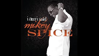 Mikey Spice || The Best of Mikey Spice || Reggae Mix