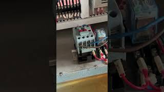 IMG 4184