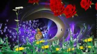 Miniatura del video "Mariposa - Danyel Gerard"