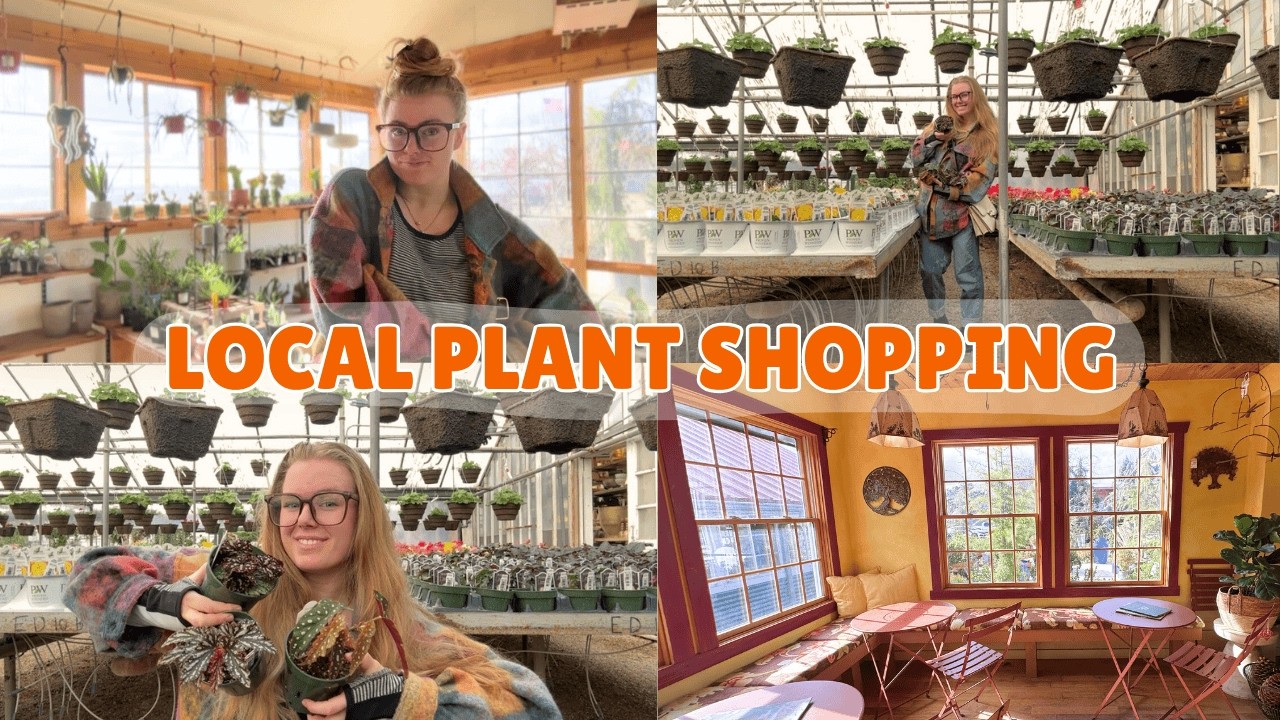 exciting new plant finds at cozy plant shops 🪴
