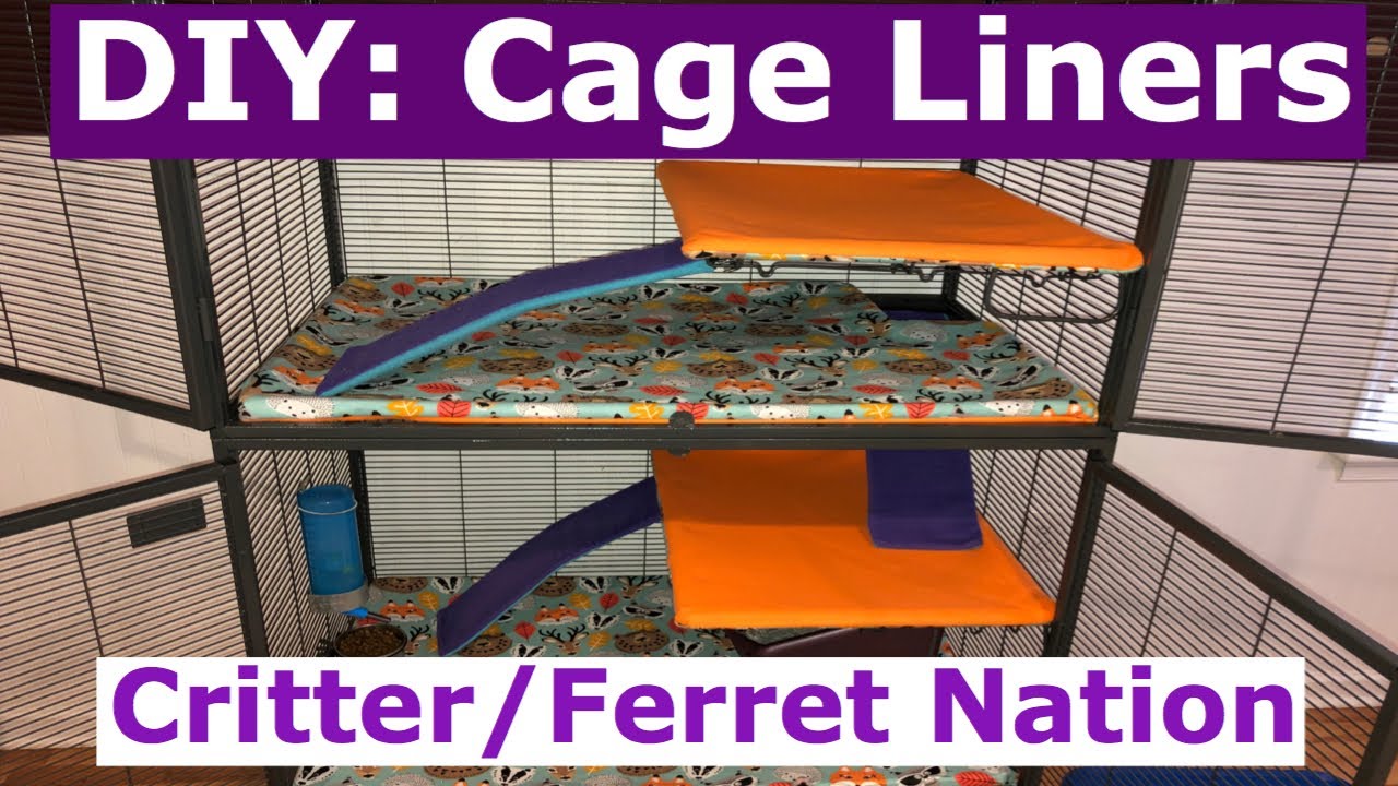 Critter Nation Jungle Theme  Ferret cage, Rat cage, Rat cage diy