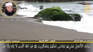أواخر سورة الحشر من بريطانيا للقارئ ياسر القرشى