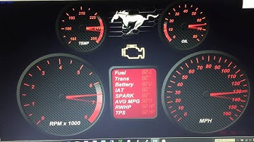 Dash Command Skin Needle Test