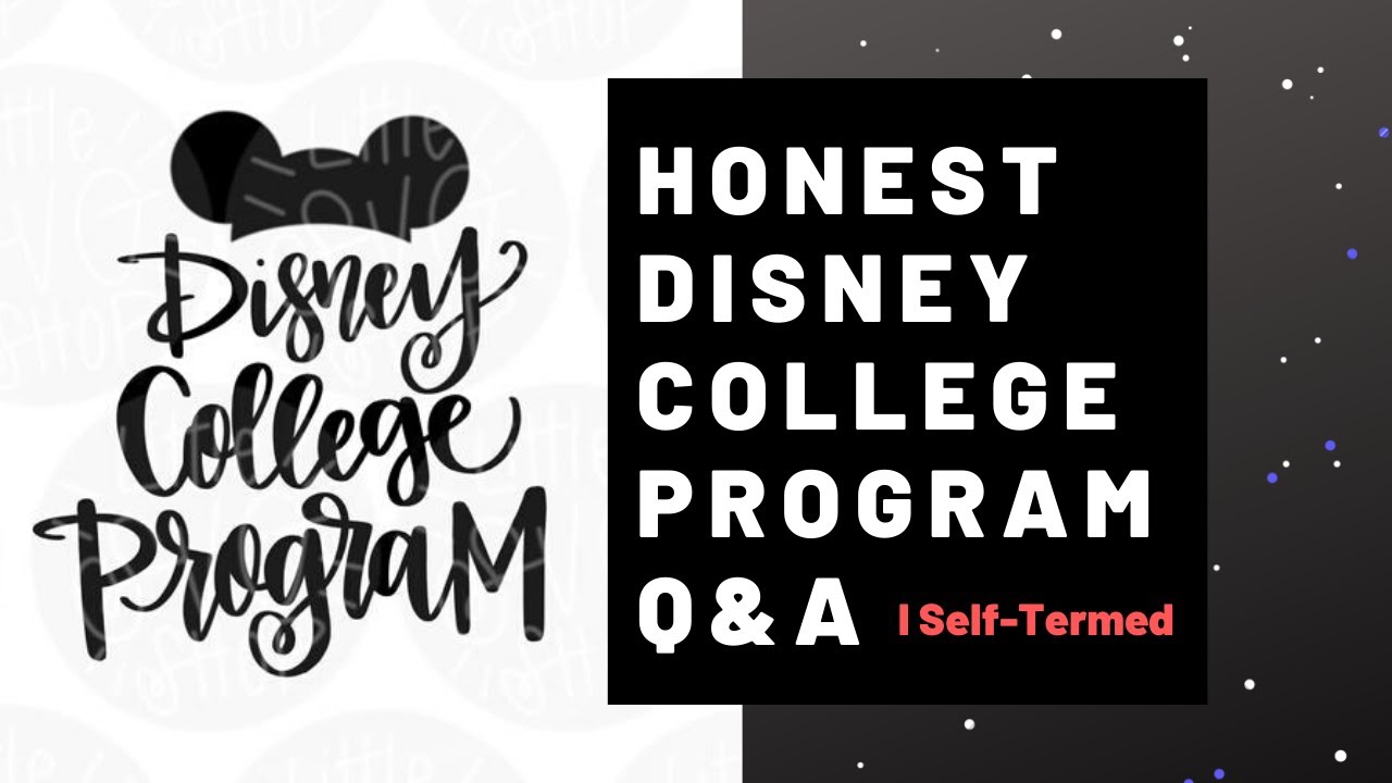 Disney College Program Question and Answer YouTube